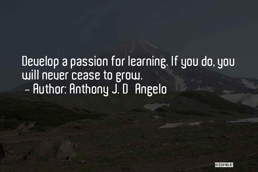 Anthony D Angelo Quotes By Anthony J. D'Angelo