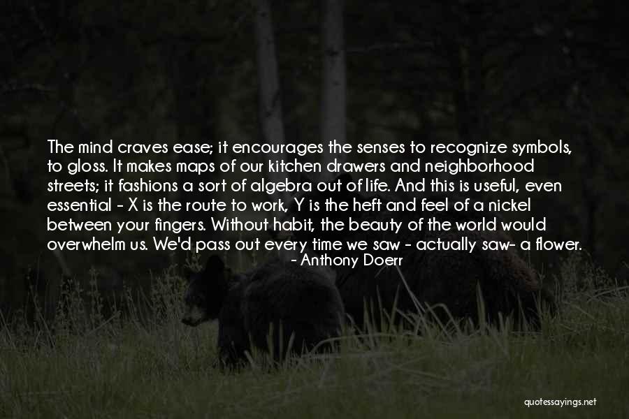 Anthony D'angelo Quotes By Anthony Doerr