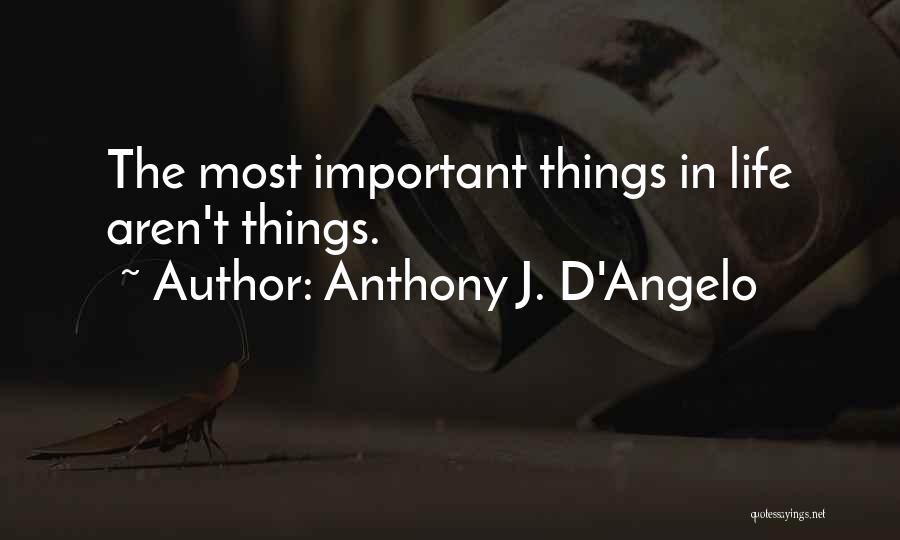 Anthony D'angelo Quotes By Anthony J. D'Angelo