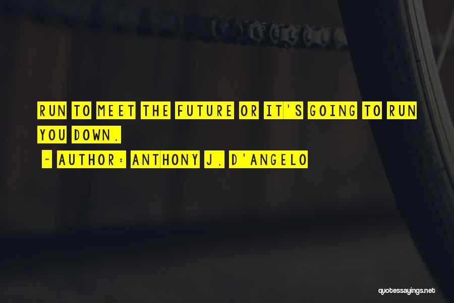 Anthony D'angelo Quotes By Anthony J. D'Angelo