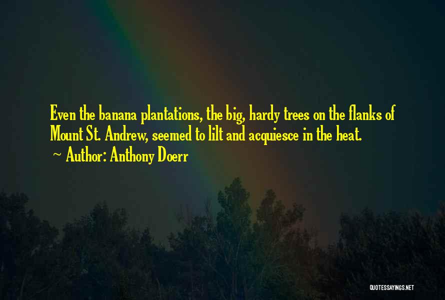 Anthony Doerr Quotes 1217458