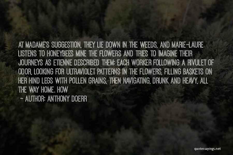 Anthony Doerr Quotes 502101
