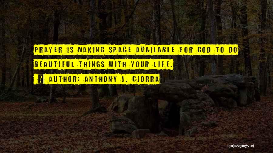 Anthony J. Ciorra Quotes 1349047