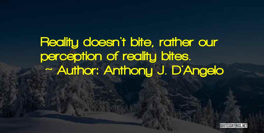 Anthony J. D'Angelo Quotes 1176366