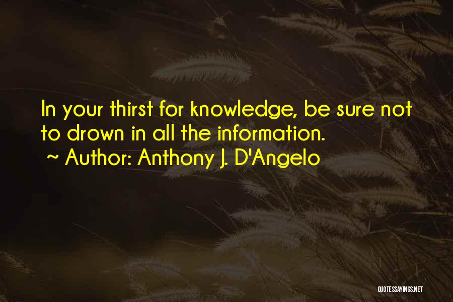 Anthony J. D'Angelo Quotes 1685340