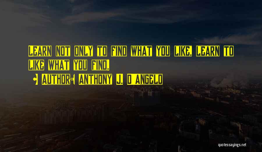 Anthony J. D'Angelo Quotes 2059858