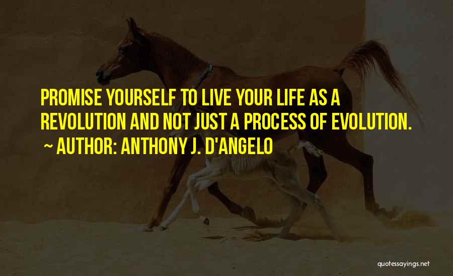 Anthony J. D'Angelo Quotes 424314