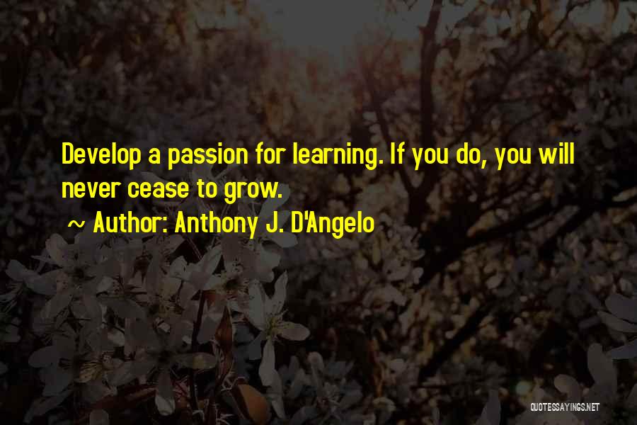 Anthony J. D'Angelo Quotes 675926