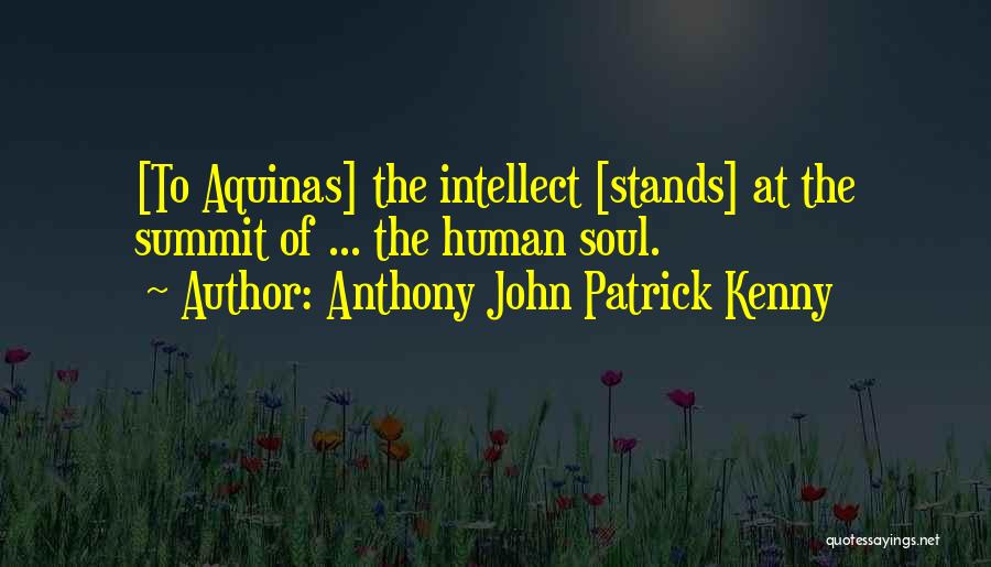 Anthony John Patrick Kenny Quotes 2161972