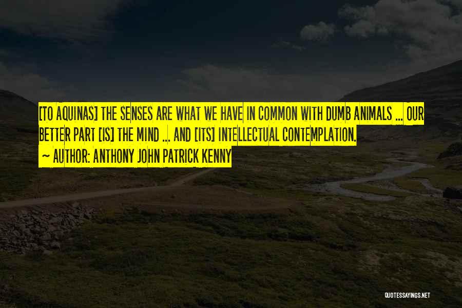 Anthony John Patrick Kenny Quotes 787772