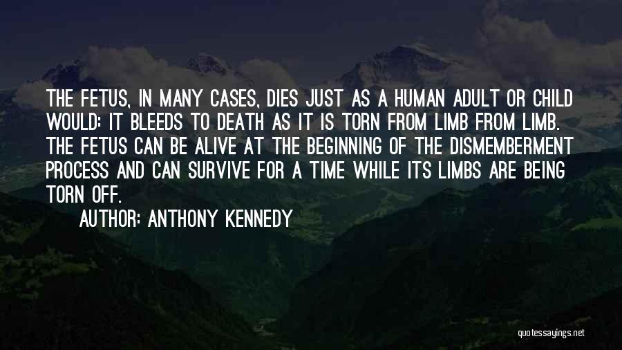 Anthony Kennedy Quotes 2048956