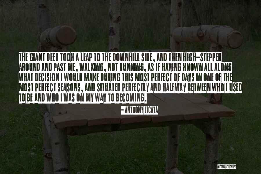 Anthony Licata Quotes 1792035 Anthony Licata Quotes 1792035