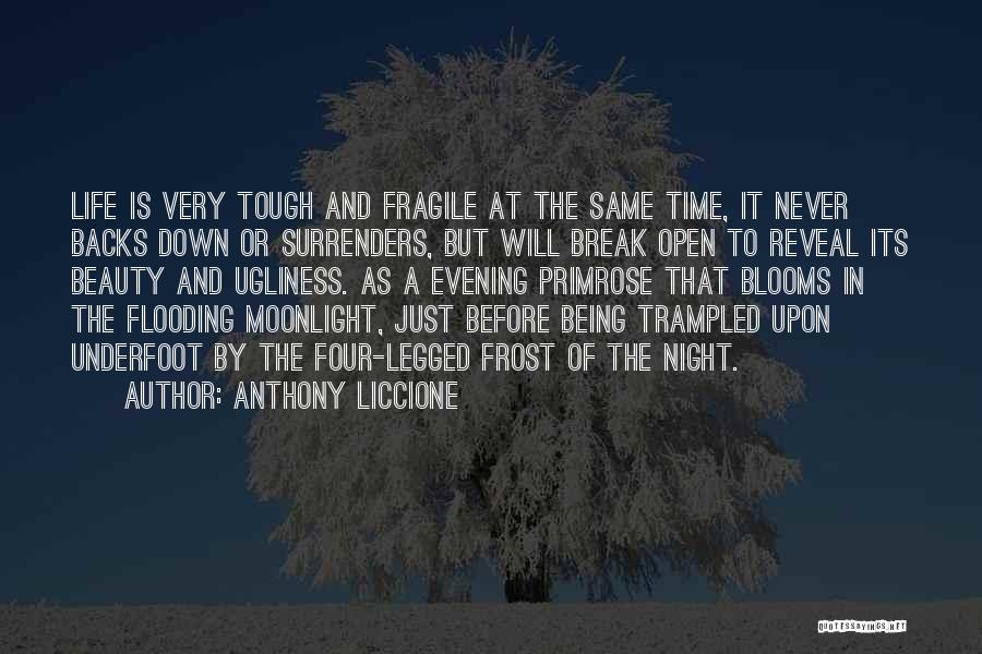 Anthony Liccione Quotes 1633666