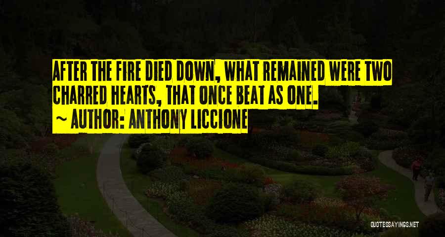 Anthony Liccione Quotes 240171