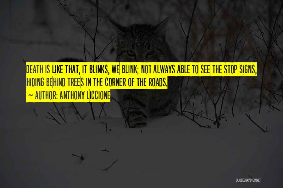 Anthony Liccione Quotes 879981