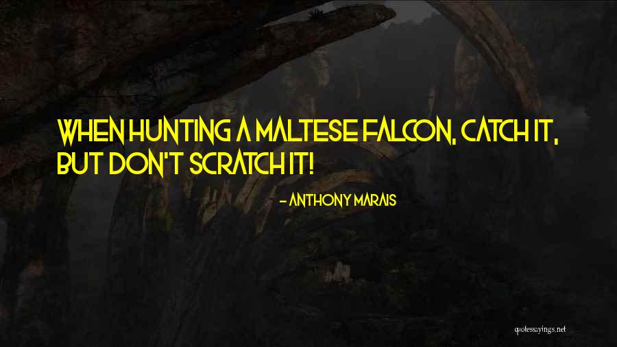Anthony Marais Quotes 2155998 Anthony Marais Quotes 2155998