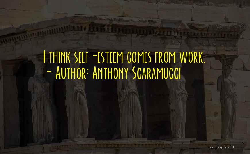 Anthony Scaramucci Quotes 2157354