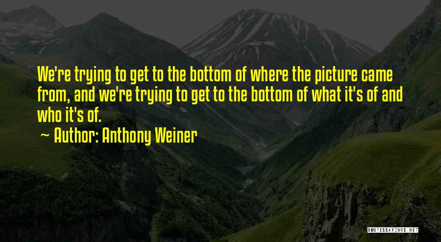 Anthony Weiner Quotes 1392399