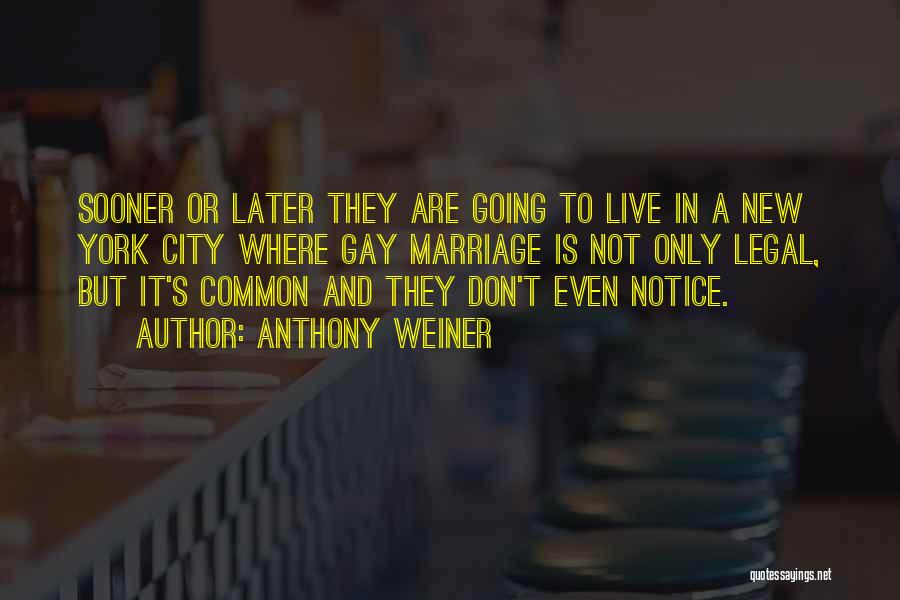 Anthony Weiner Quotes 237059