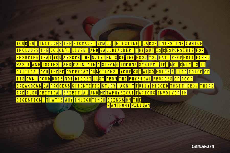 Anthony William Quotes 1088468 Anthony William Quotes 1088468