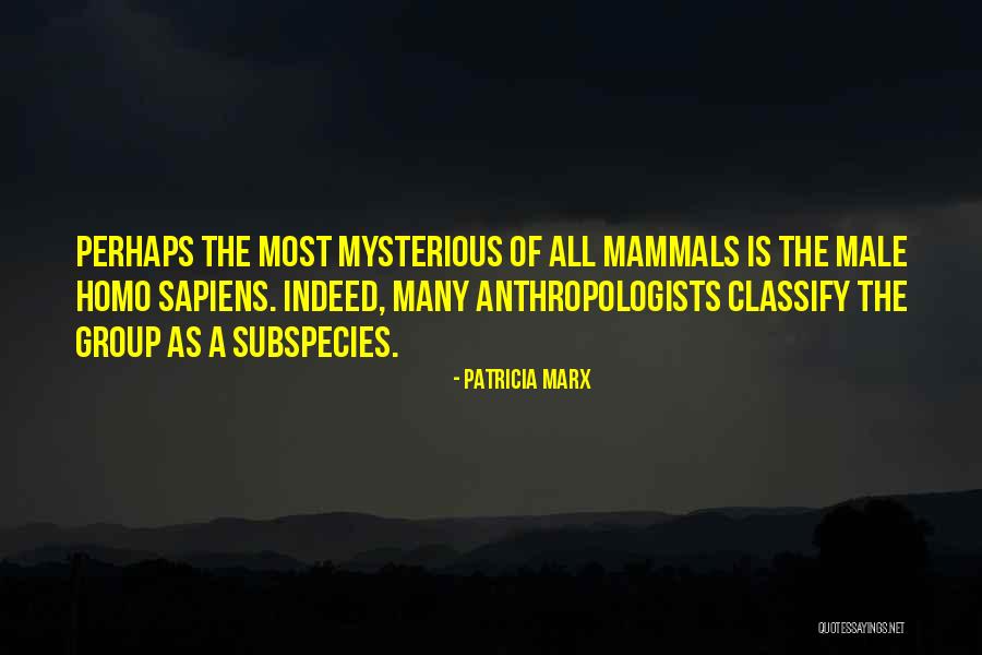 Anthropologists Quotes By Patricia Marx Anthropologists Quotes By Patricia Marx