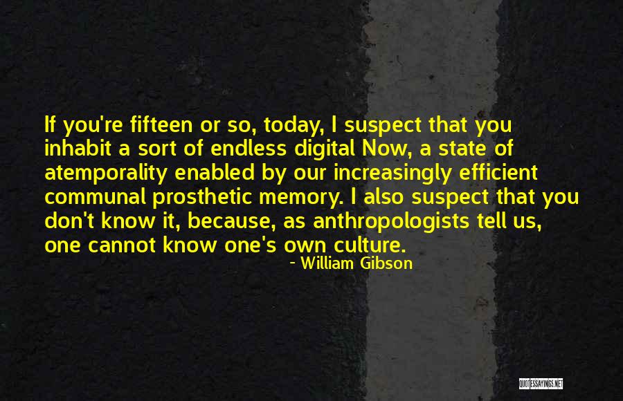 Anthropologists Quotes By William Gibson Anthropologists Quotes By William Gibson