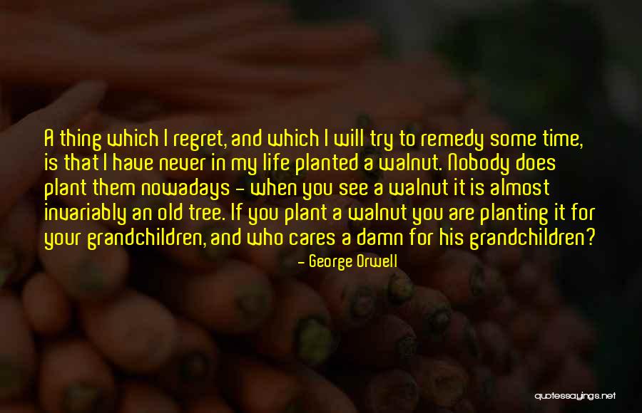 Anti Capitalism Books Quotes By George Orwell Anti Capitalism Books Quotes By George Orwell