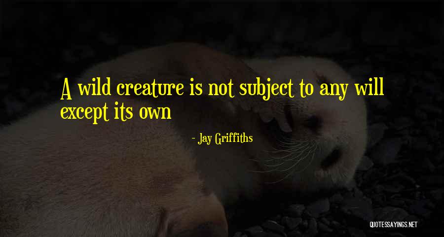 Anti Civilization Quotes By Jay Griffiths Anti Civilization Quotes By Jay Griffiths
