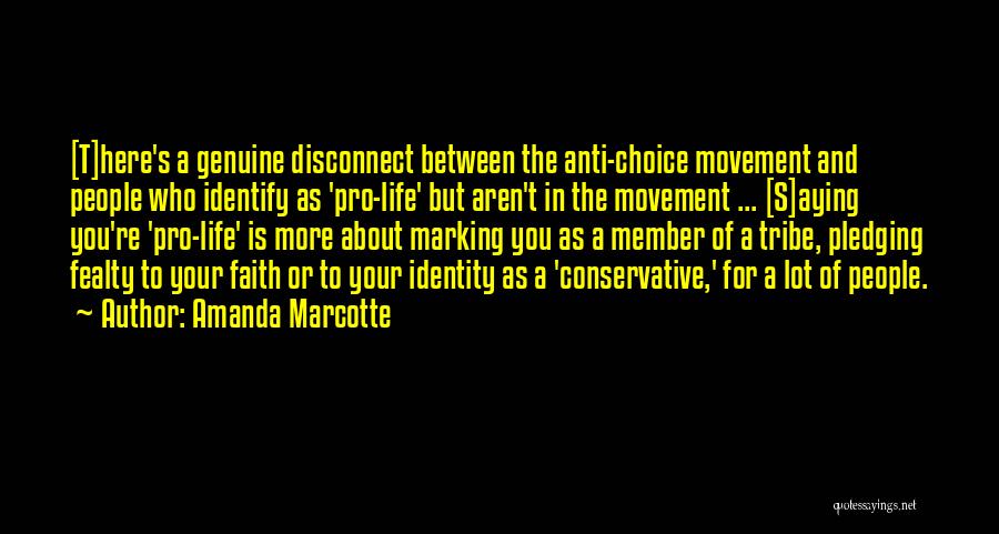 Anti Conservative Quotes By Amanda Marcotte