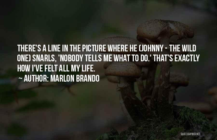 Anti-darwinism Quotes By Marlon Brando