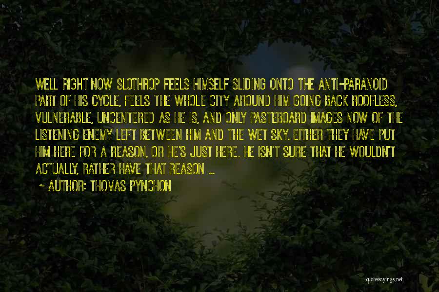 Anti-dengue Quotes By Thomas Pynchon