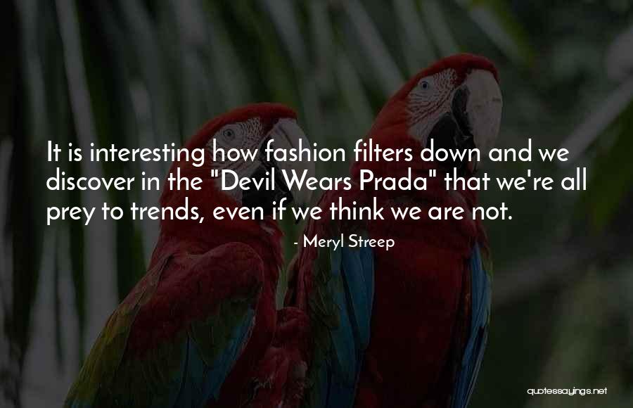 Anti Educational System Quotes By Meryl Streep Anti Educational System Quotes By Meryl Streep