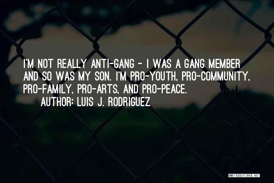 Anti Gang Quotes By Luis J. Rodriguez