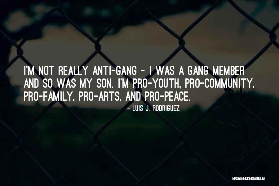 Anti Gang Quotes By Luis J. Rodriguez