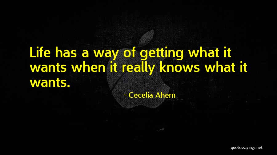 Anti Radiation Suit Quotes By Cecelia Ahern Anti Radiation Suit Quotes By Cecelia Ahern