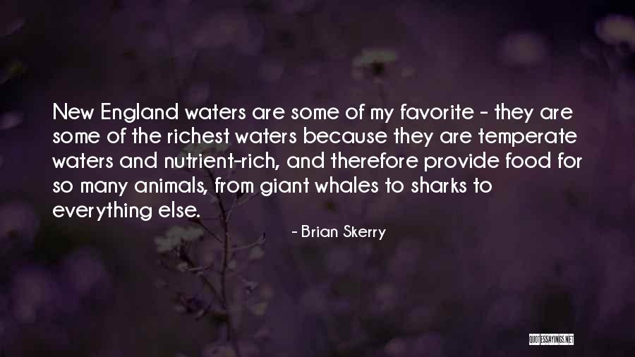 Anti Smacking Quotes By Brian Skerry Anti Smacking Quotes By Brian Skerry