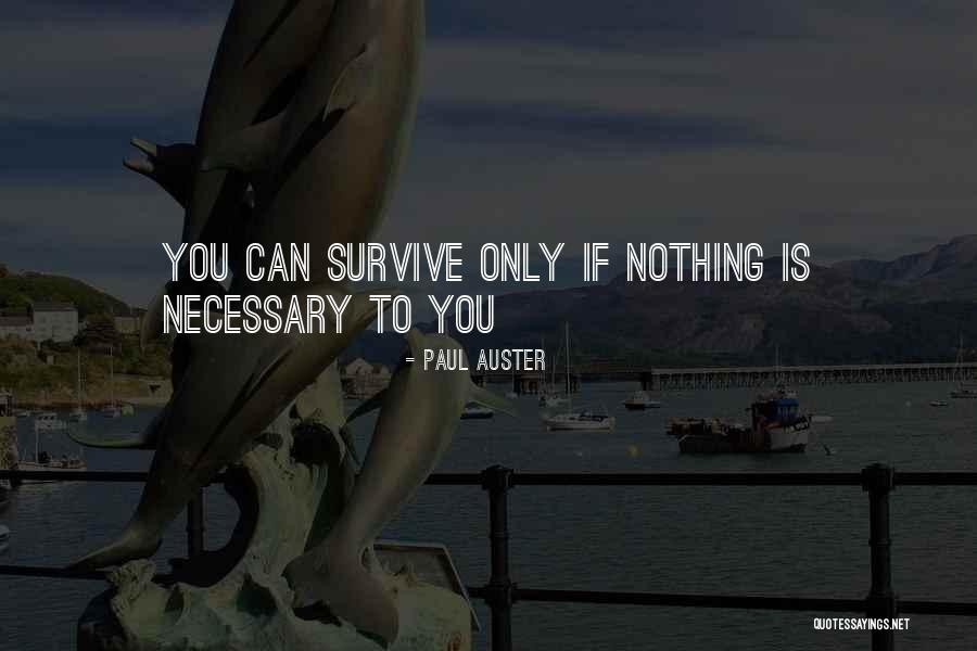 Anti Snowboard Quotes By Paul Auster Anti Snowboard Quotes By Paul Auster