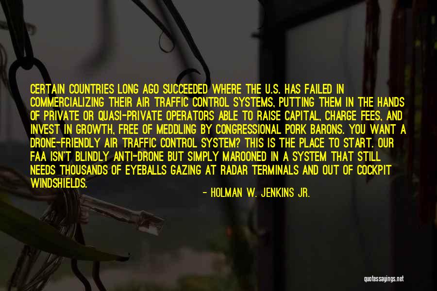 Anti System Quotes By Holman W. Jenkins Jr.