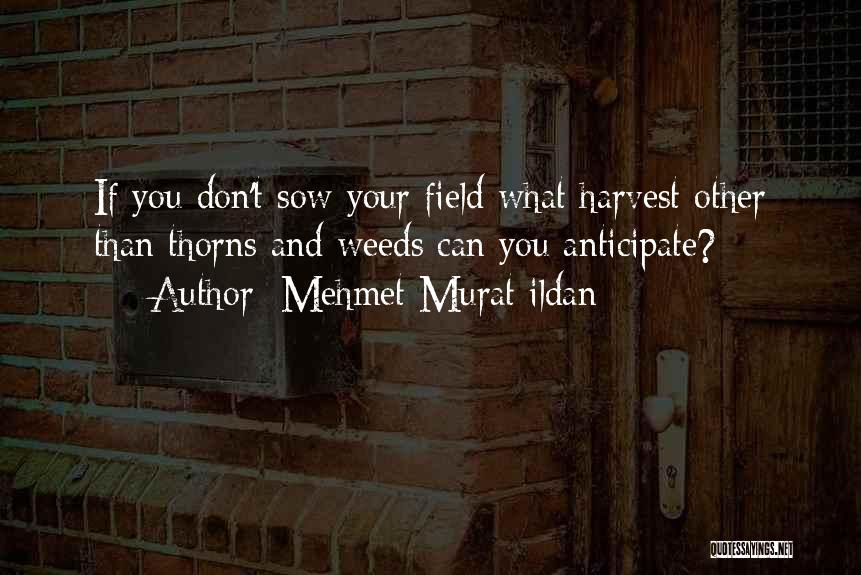 Anticipate Quotes By Mehmet Murat Ildan