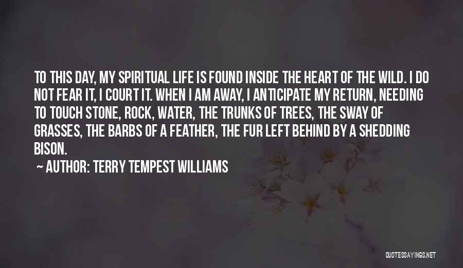 Anticipate Quotes By Terry Tempest Williams