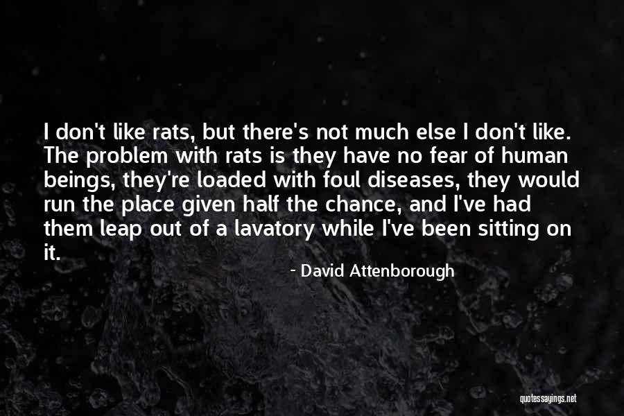 Anticipation About God Quotes By David Attenborough Anticipation About God Quotes By David Attenborough