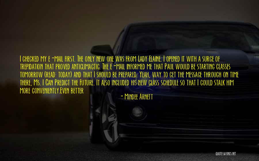 Anticlimactic Quotes By Mindee Arnett