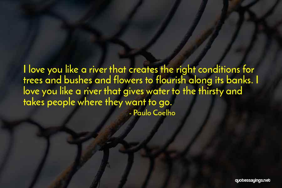 Anticuado Muy Quotes By Paulo Coelho Anticuado Muy Quotes By Paulo Coelho