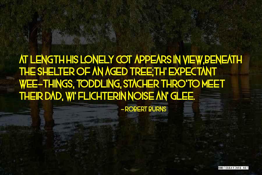 Antidemocratic Quotes By Robert Burns Antidemocratic Quotes By Robert Burns