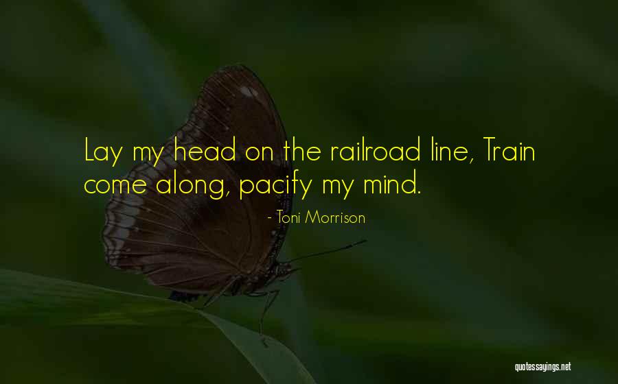Antidepressants For Anxiety Quotes By Toni Morrison