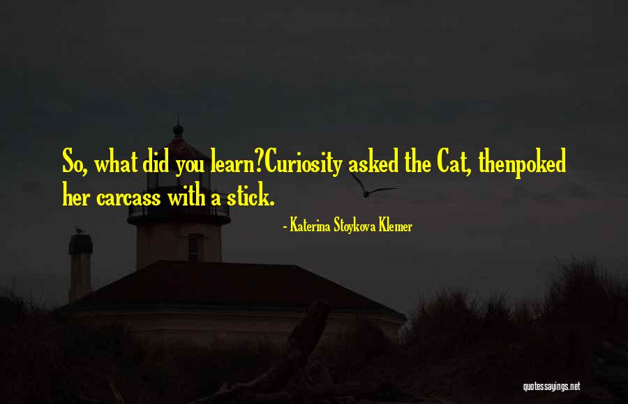 Antiestablishment Quotes By Katerina Stoykova Klemer Antiestablishment Quotes By Katerina Stoykova Klemer