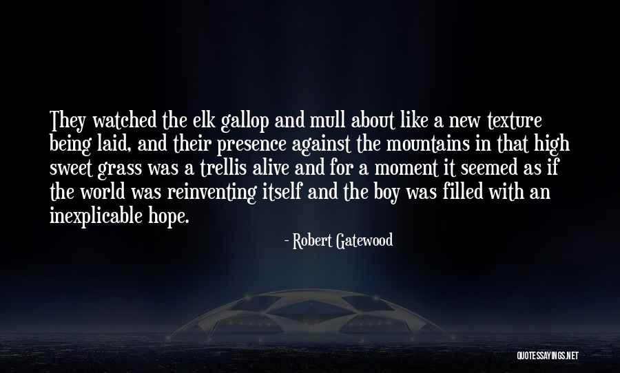 Antifaz De Spiderman Quotes By Robert Gatewood Antifaz De Spiderman Quotes By Robert Gatewood