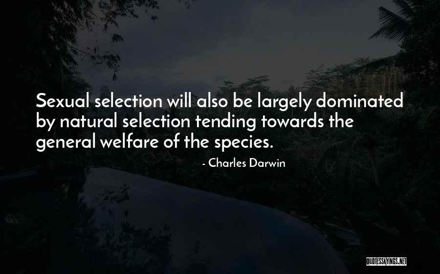 Antimeren Quotes By Charles Darwin Antimeren Quotes By Charles Darwin