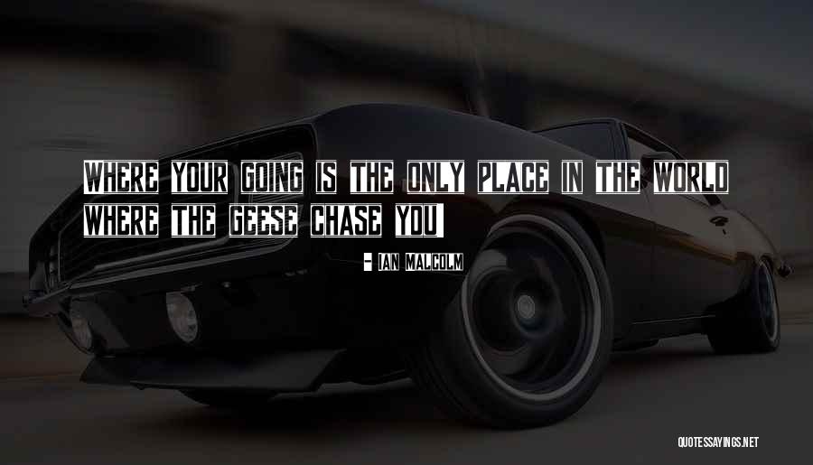 Antinori Guado Quotes By Ian Malcolm Antinori Guado Quotes By Ian Malcolm