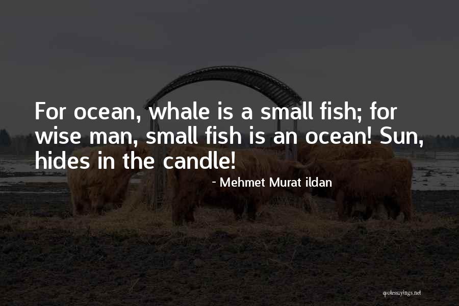 Antipatico Antonym Quotes By Mehmet Murat Ildan Antipatico Antonym Quotes By Mehmet Murat Ildan
